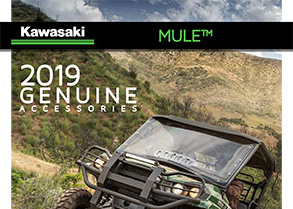  2019 ACCESSORIES - MULE™