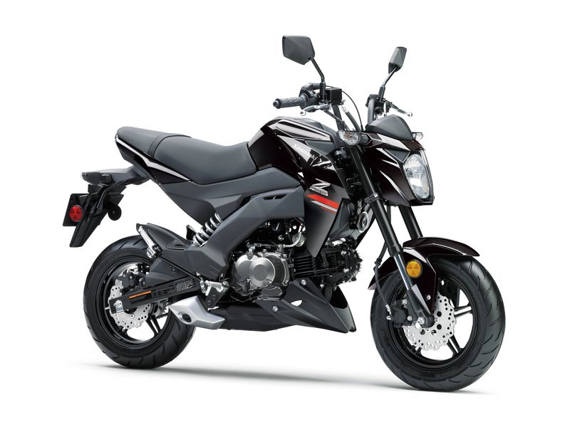 Kawasaki - Z125 PRO