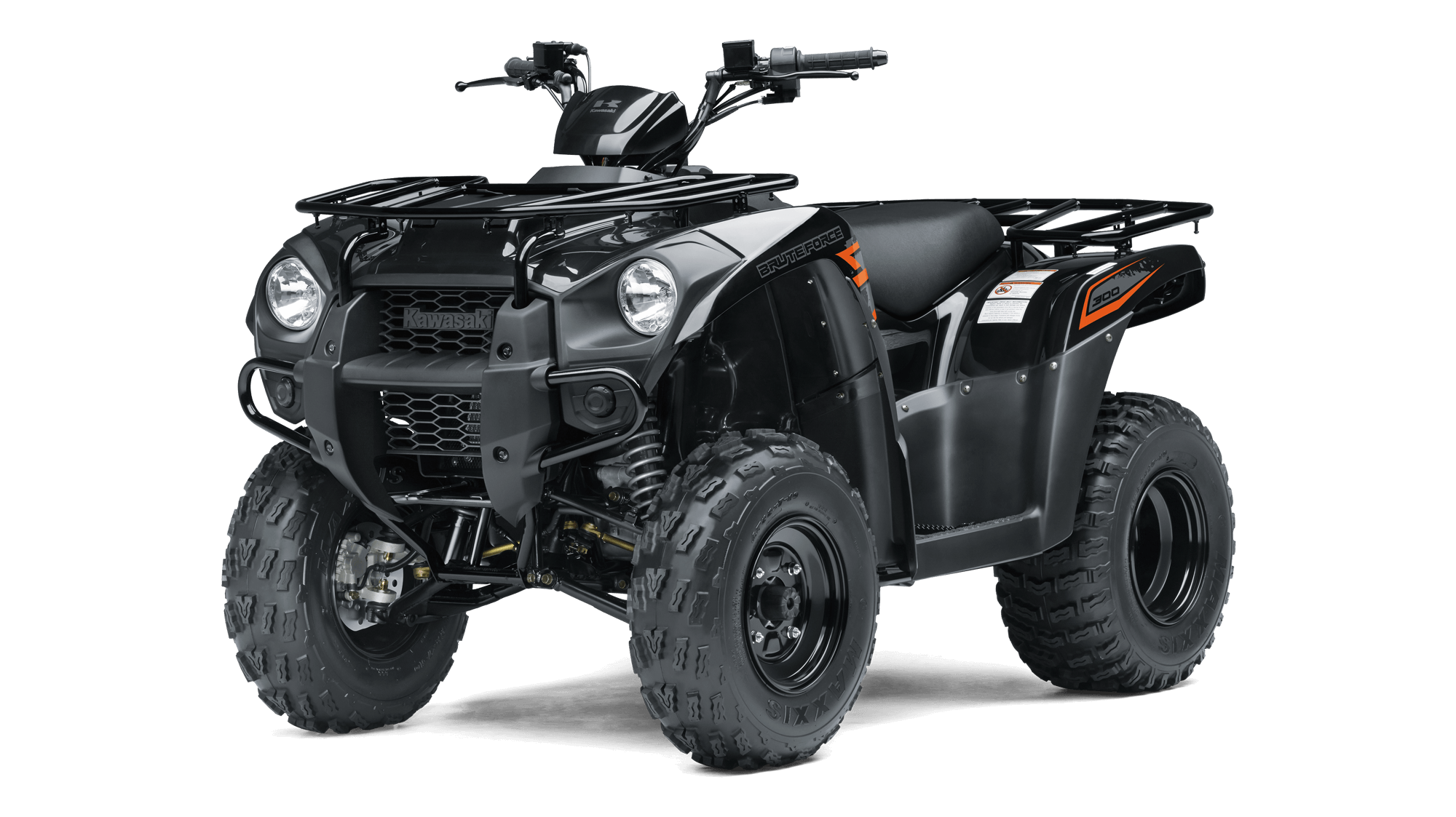 BRUTE FORCE 300 Image